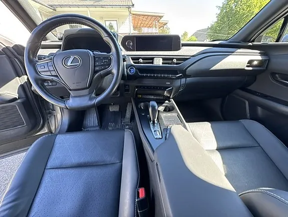 Lexus Ux300E 2020 photo 5
