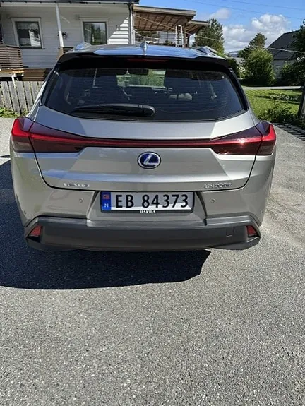 Lexus Ux300E 2020 photo 3