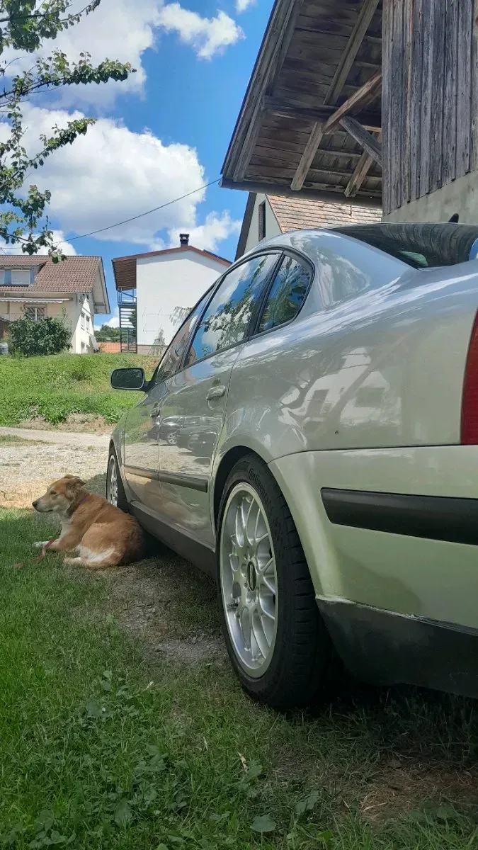 Volkswagen Passat 2000 photo 3