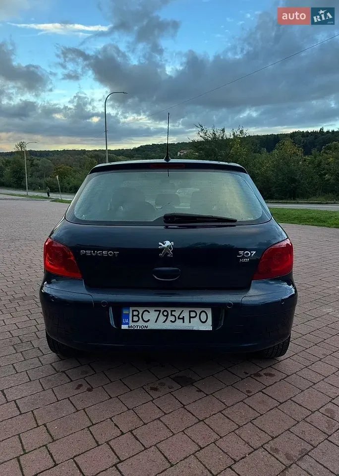 Peugeot 307 2007 photo 5