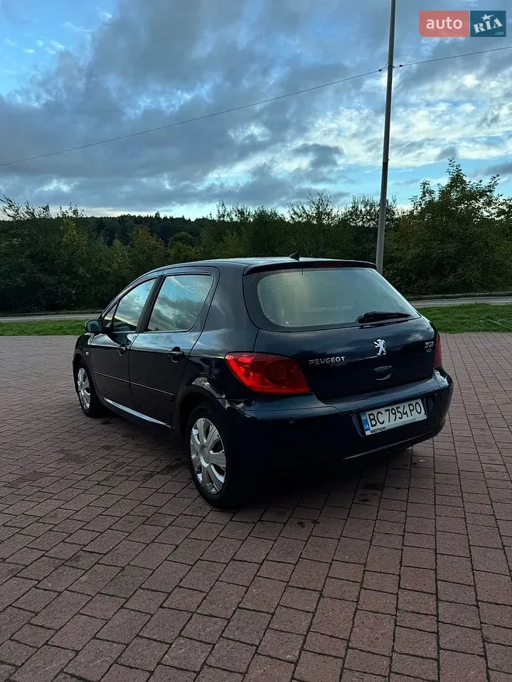 Peugeot 307 2007 photo 4