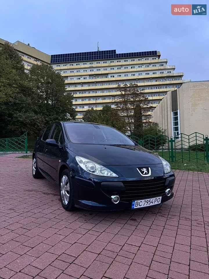 Peugeot 307 2007 photo 2