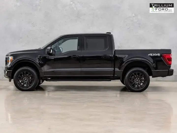 Ford F-150 2024 photo 4