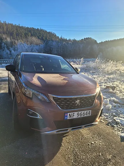 Peugeot 3008 2019 photo 3