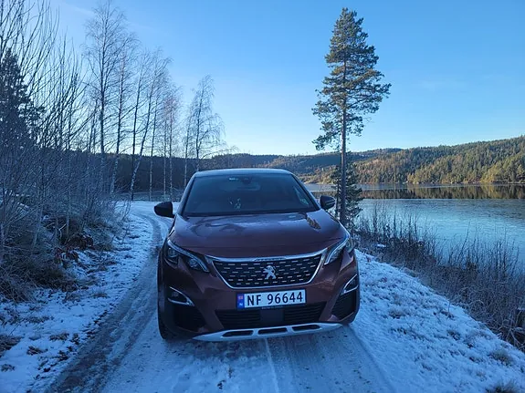 Peugeot 3008 2019 photo 2