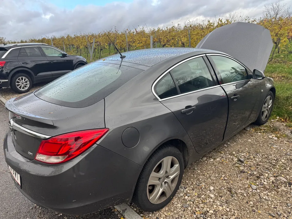 Opel Insignia 2010 photo 2