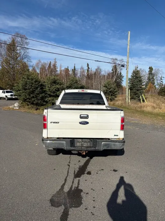 Ford F-150 2010 photo 4