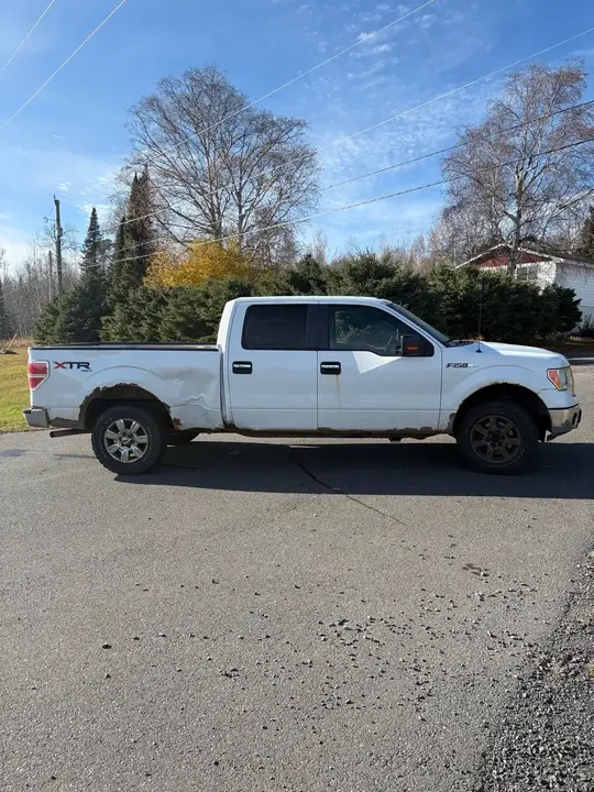 Ford F-150 2010 photo 3