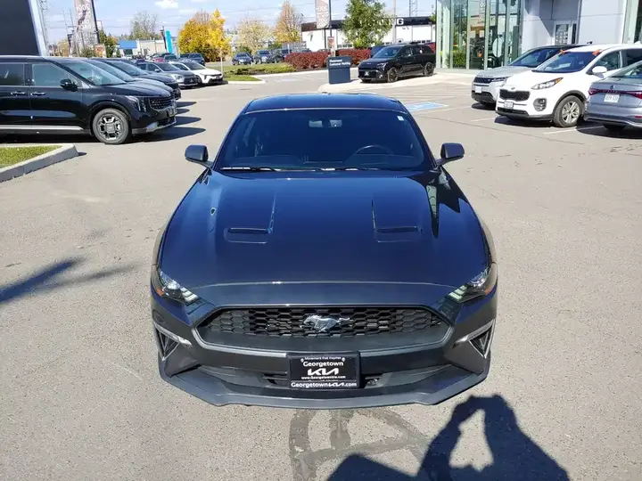 Ford Mustang 2019 photo 3