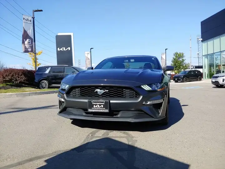 Ford Mustang 2019 photo 4