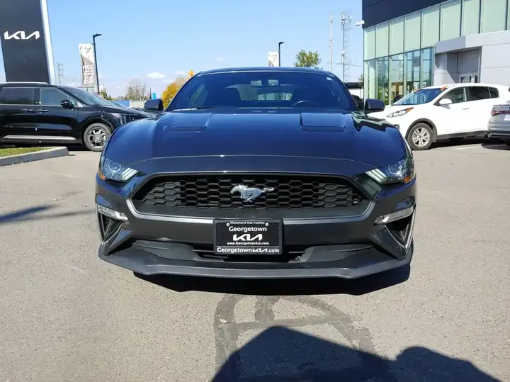 Ford Mustang 2019 photo 2
