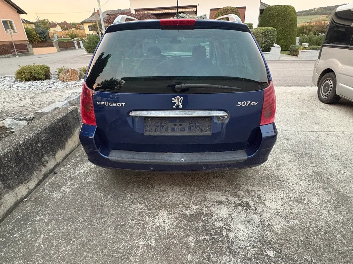 Peugeot 307 2004 photo 2