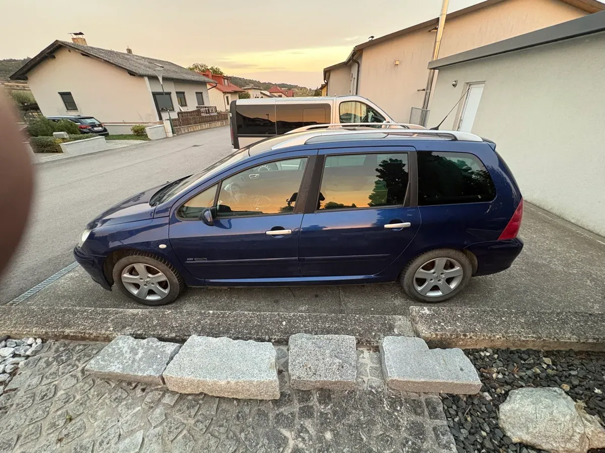 Peugeot 307 2004 photo 3