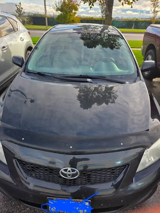 Toyota Corolla 2009 photo 4