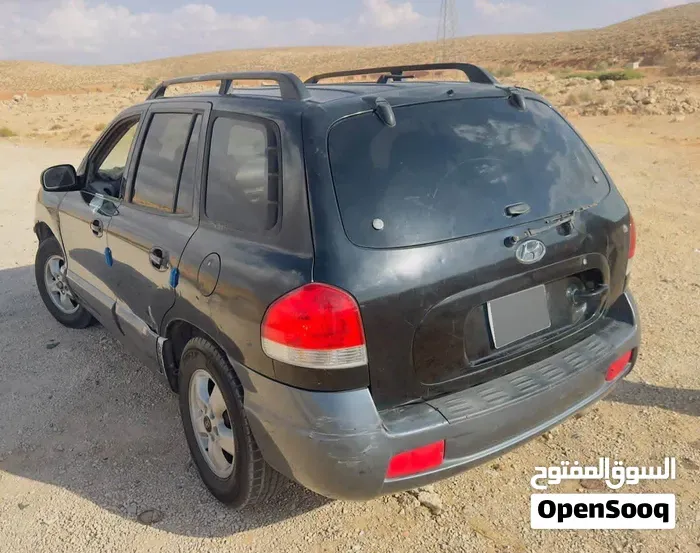 Hyundai Santa Fe 2005 photo 3