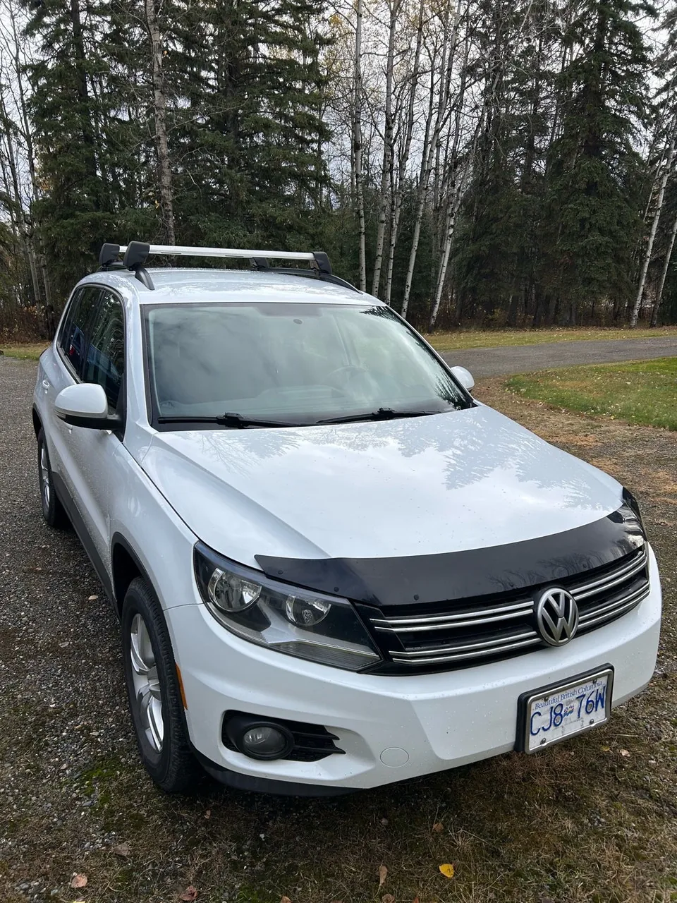Volkswagen Tiguan 2015 photo 2