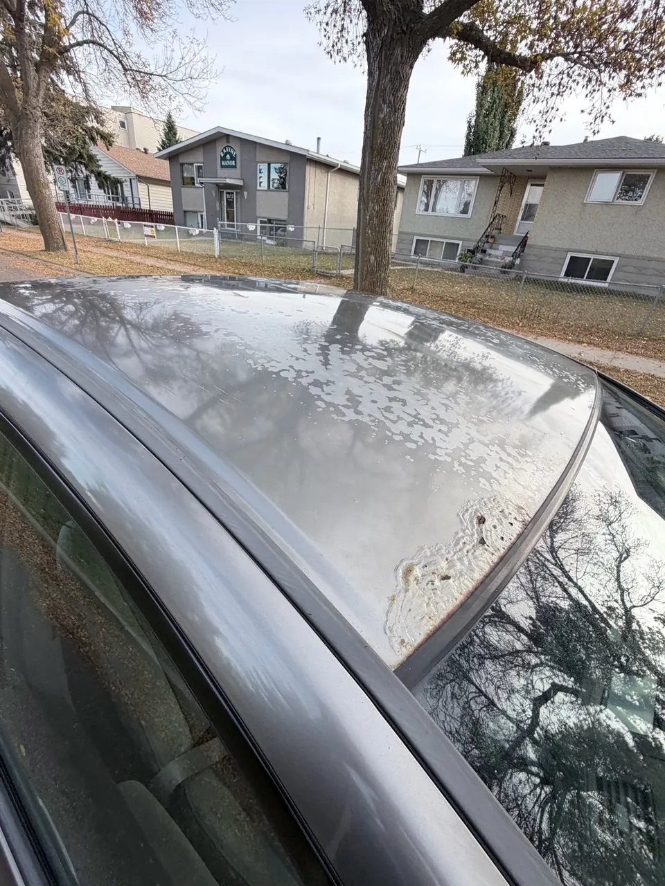 Honda Civic 2006 photo 5