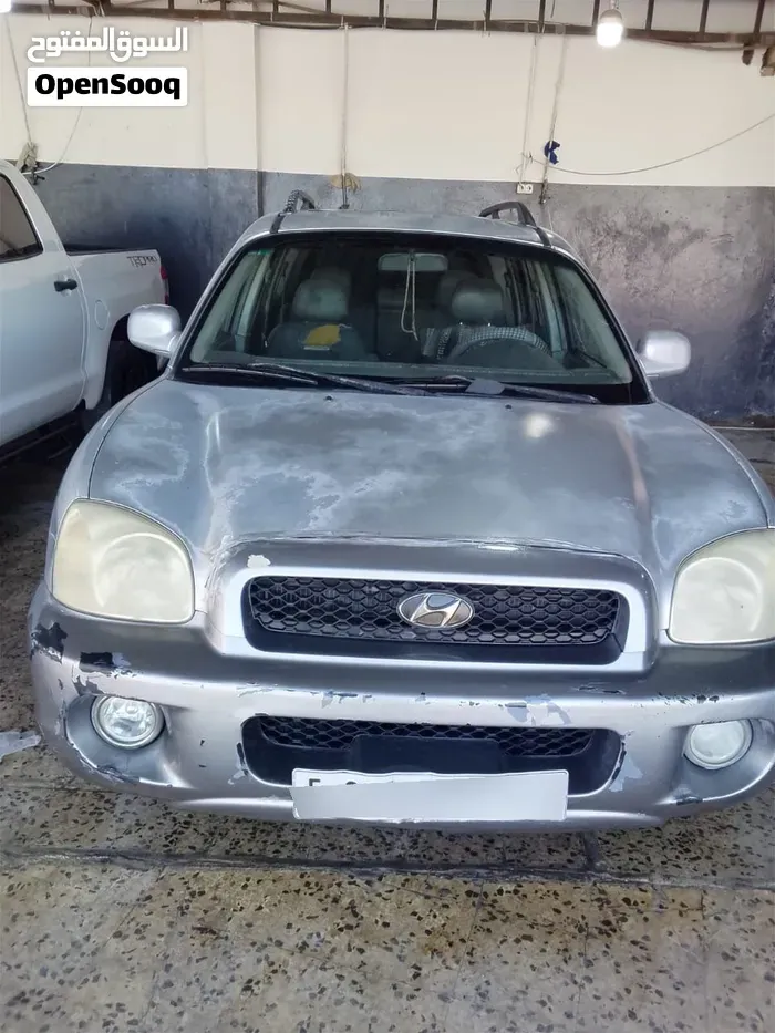 Hyundai Santa Fe 2005 photo 2