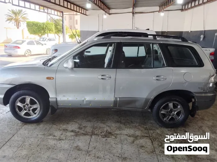 Hyundai Santa Fe 2005 photo 3