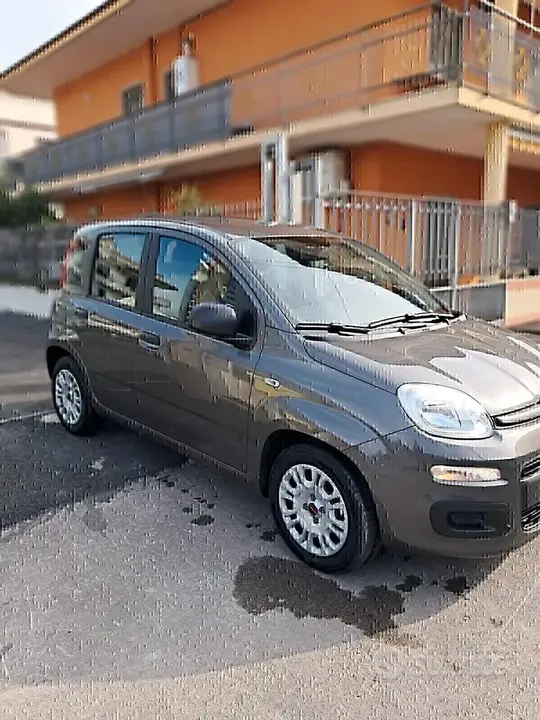 Fiat Panda 2021 photo 2