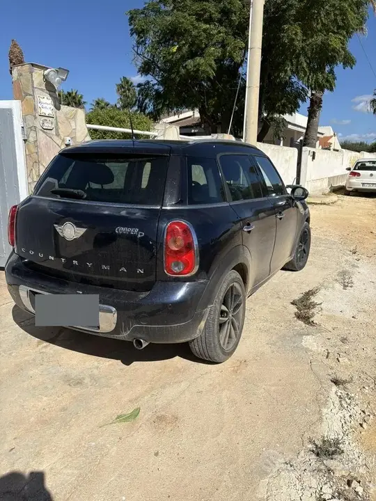 Mini Countryman