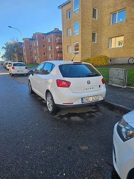 Seat Ibiza 2010 photo 2