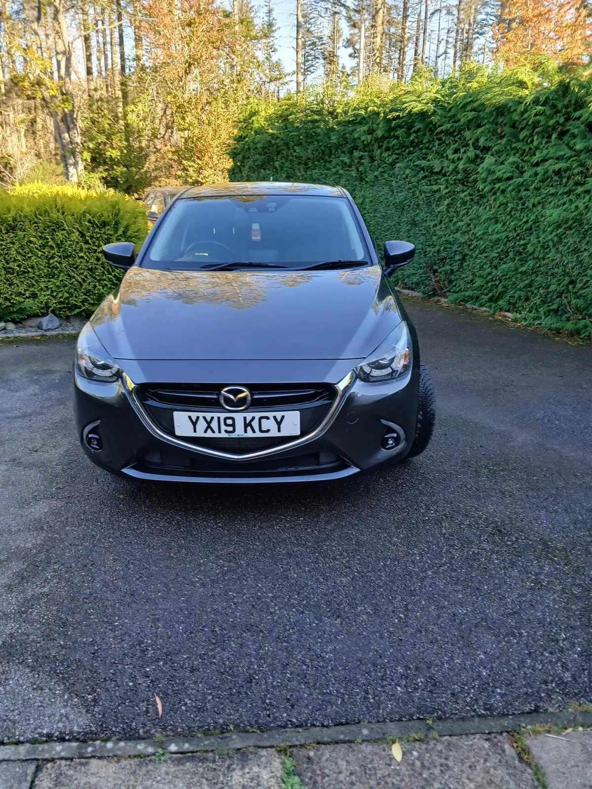 Mazda Mazda2 2019 photo 2
