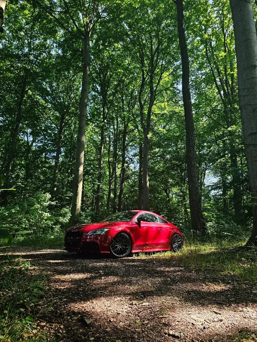 Audi Tt 2008 photo 3