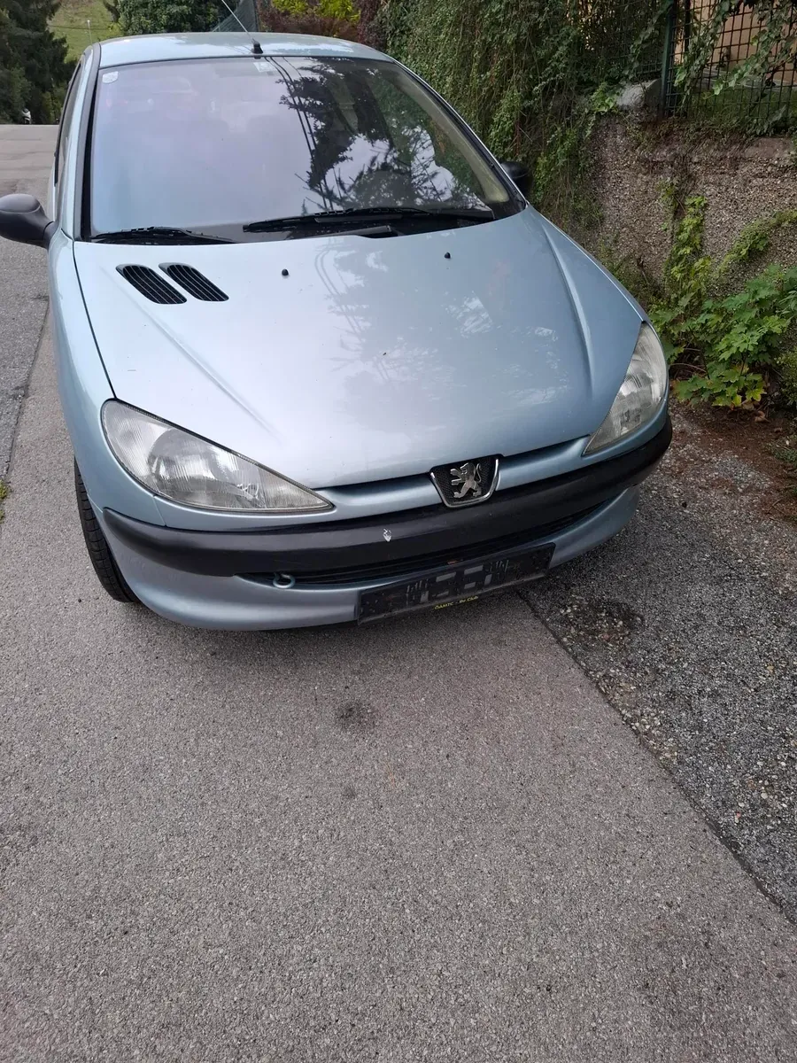 Peugeot 206 2002 photo 2