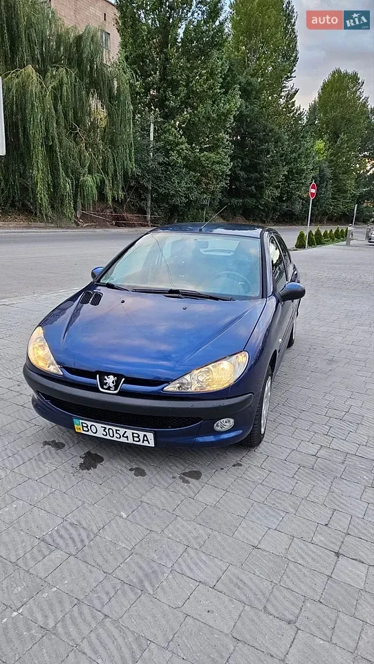 Peugeot 206 2007 photo 2
