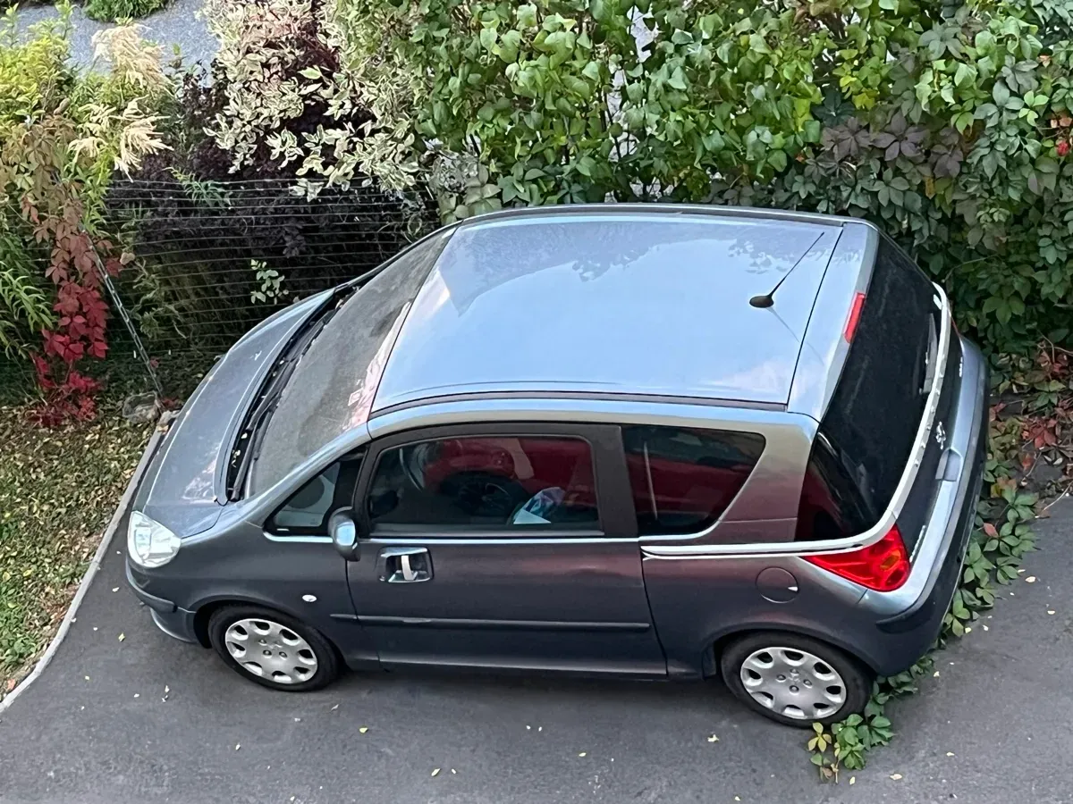 Peugeot 1007