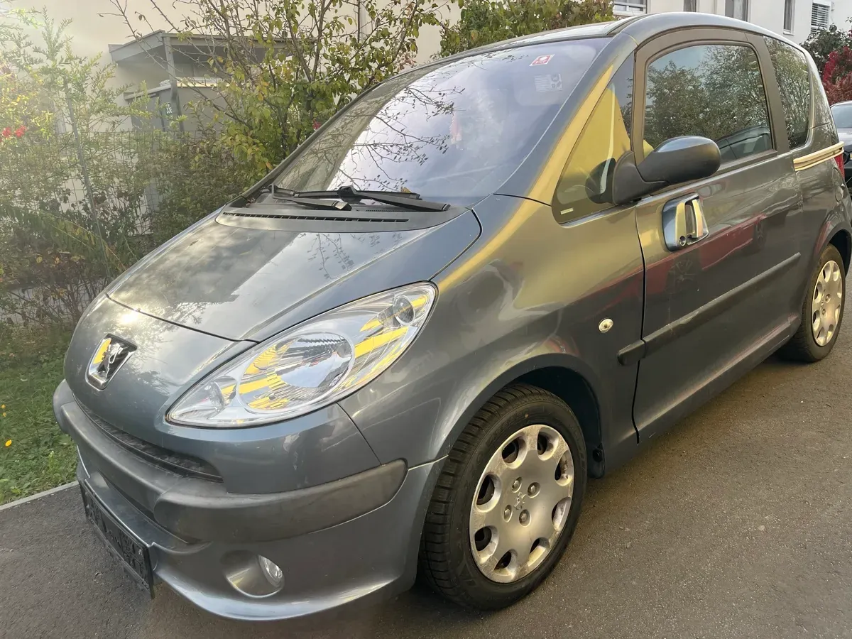 Peugeot 1007 2005 photo 2