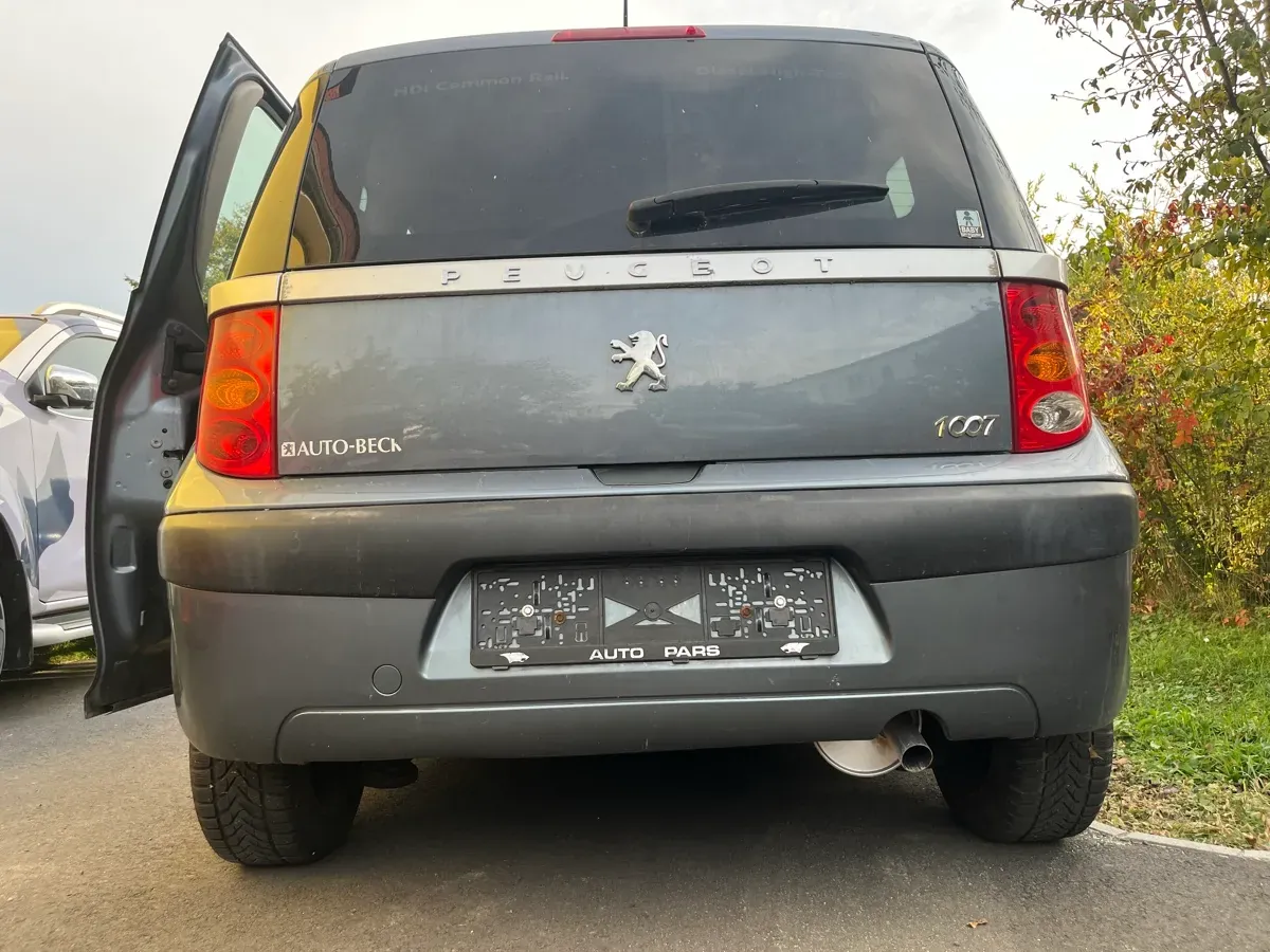 Peugeot 1007 2005 photo 3