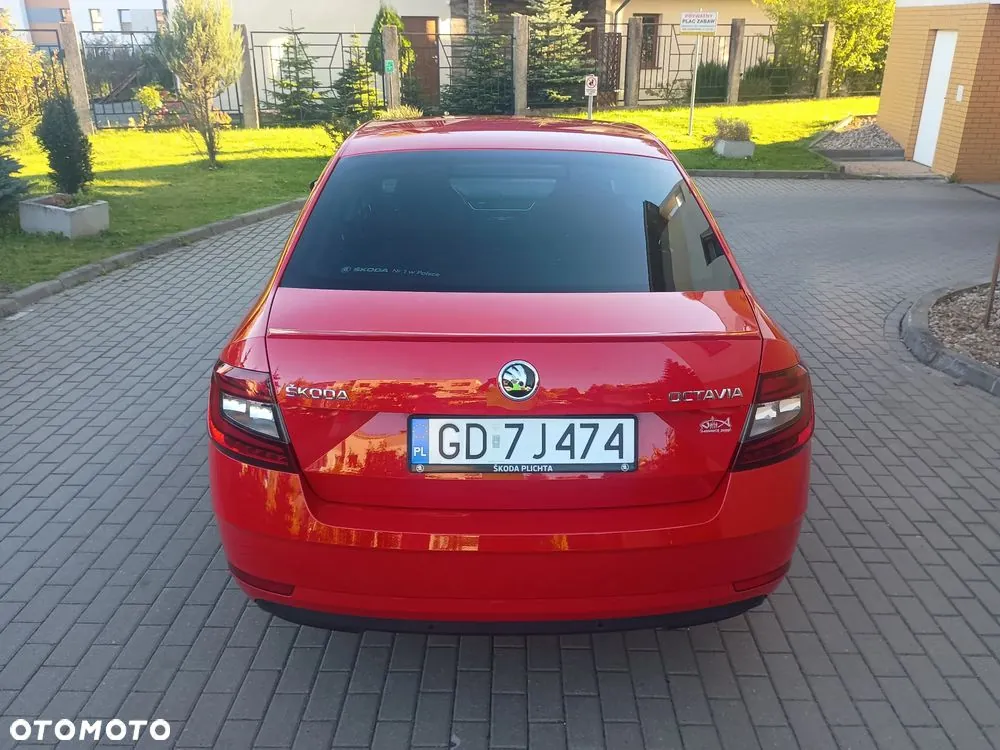 Skoda Octavia 2019 photo 5