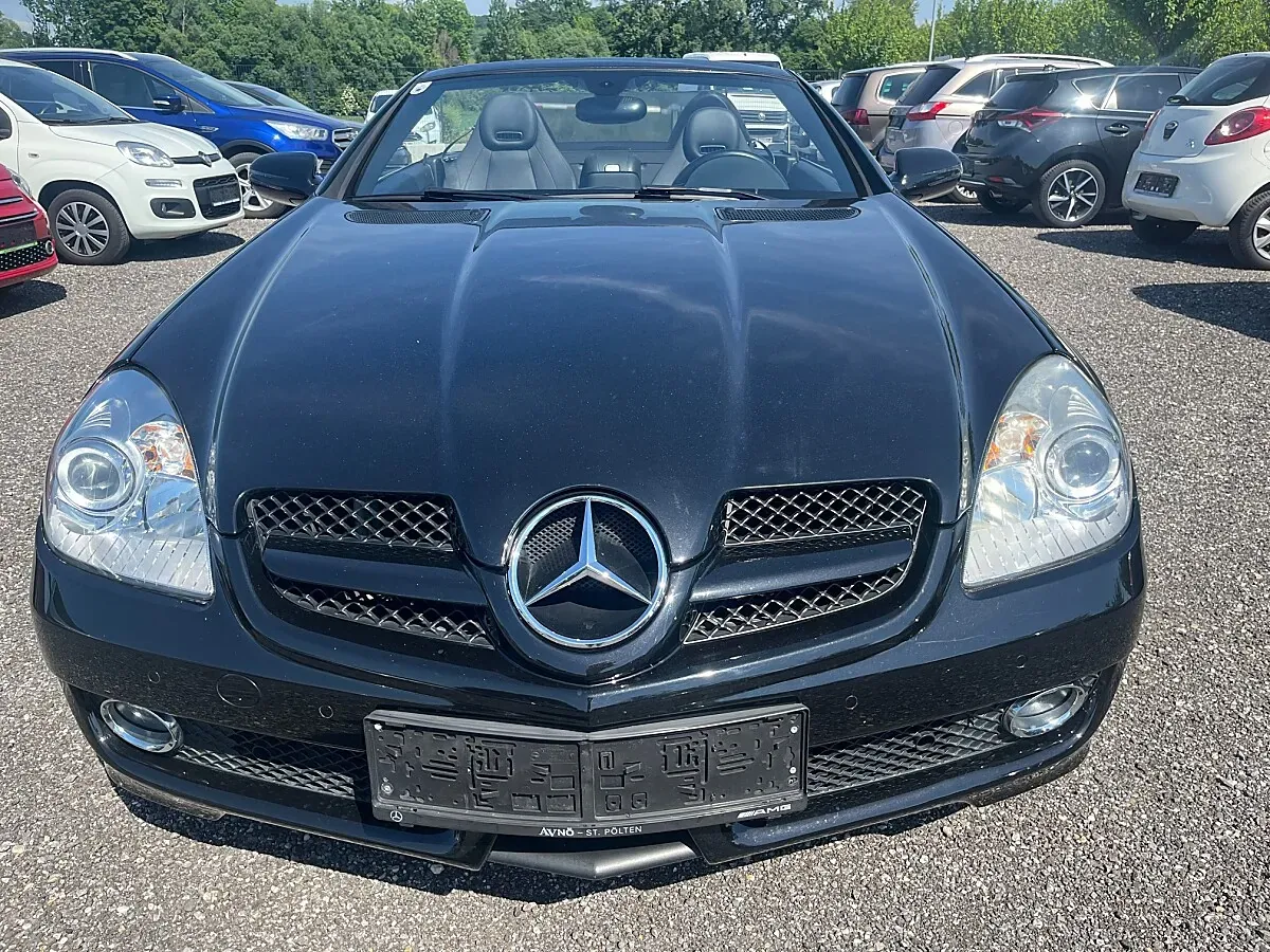 Mercedes-Benz Slk-Class 2010 photo 2