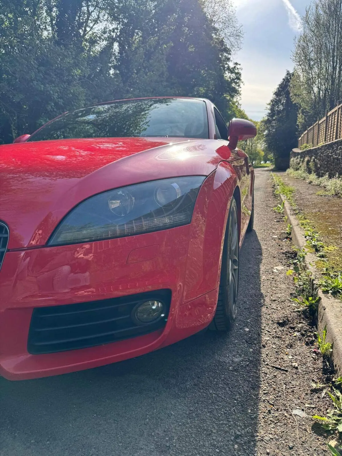 Audi Tt 2010 photo 4