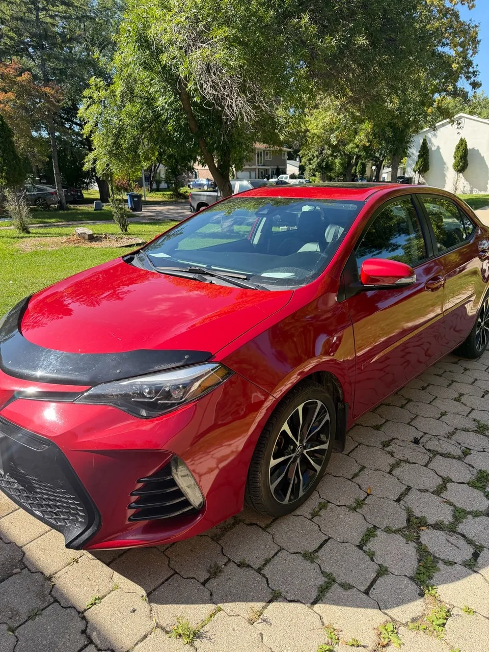 Toyota Corolla 2019 photo 3
