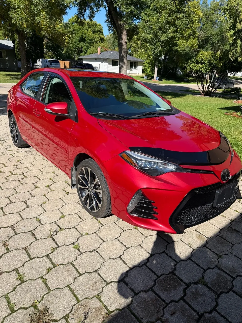 Toyota Corolla 2019 photo 2