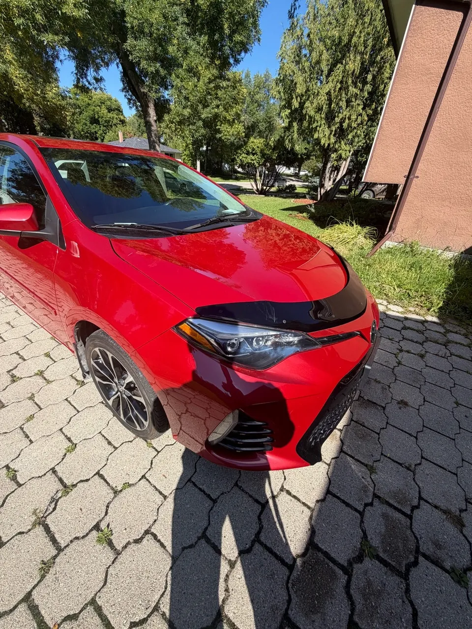 Toyota Corolla 2019 photo 5