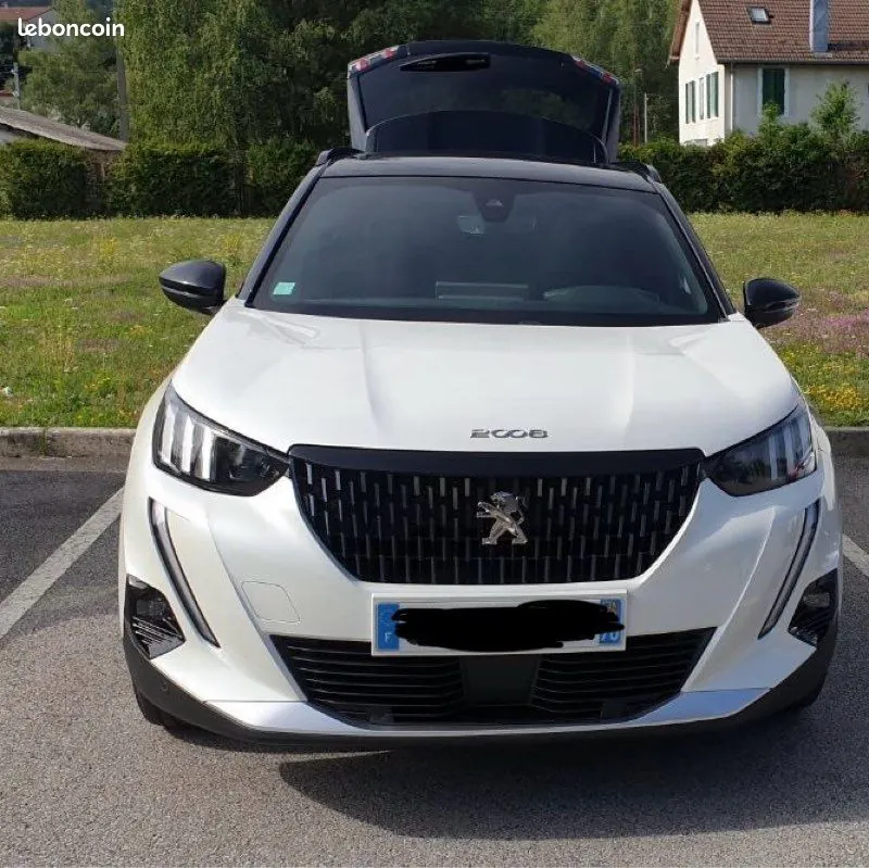 Peugeot 2008 2021 photo 2