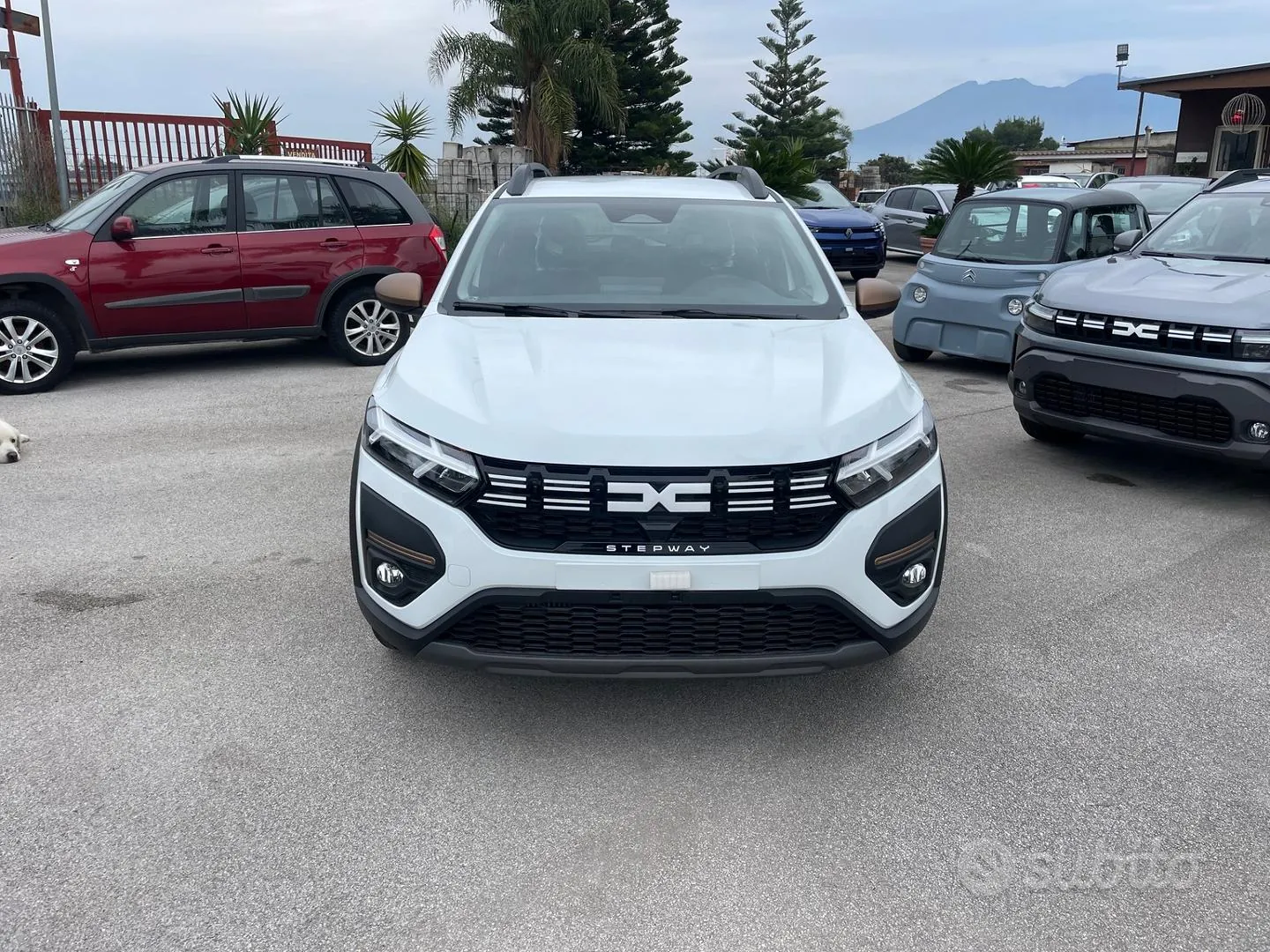 Dacia Sandero Stepway photo 2