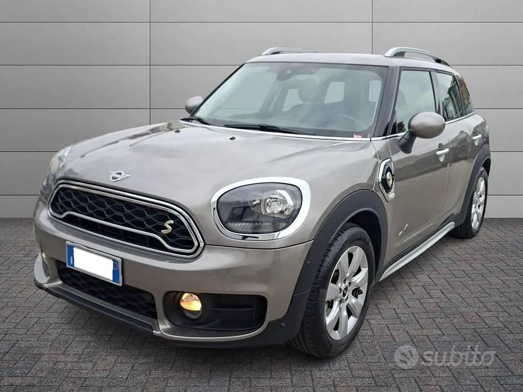 Mini Mini Countryman