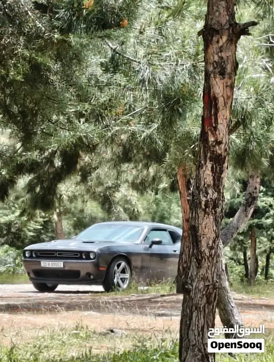 Dodge Challenger 2018 photo 4
