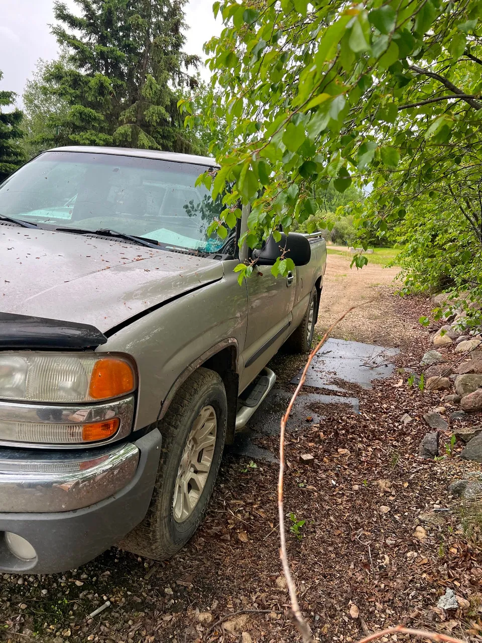 GMC C/K 1500 2006 photo 4