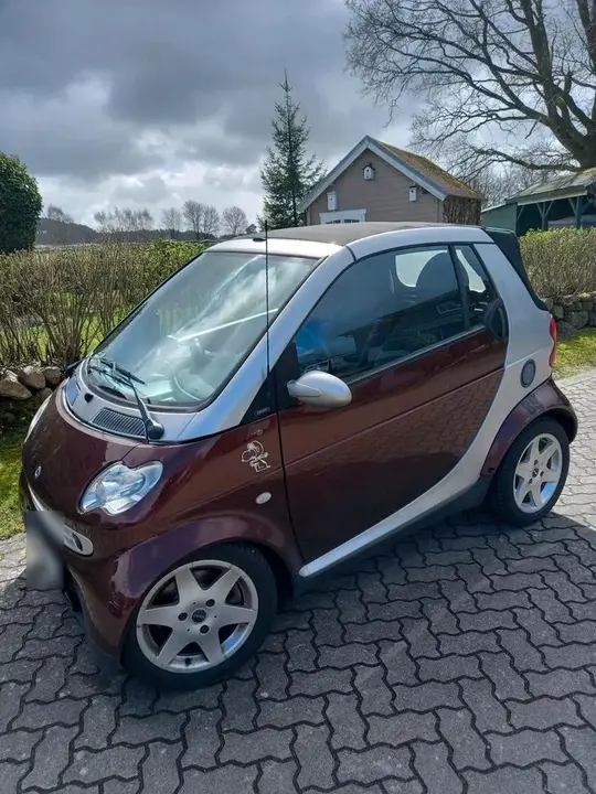 Smart Cabrio
