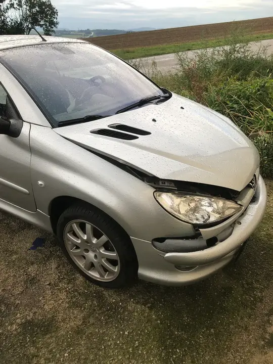 Peugeot 206 Cc
