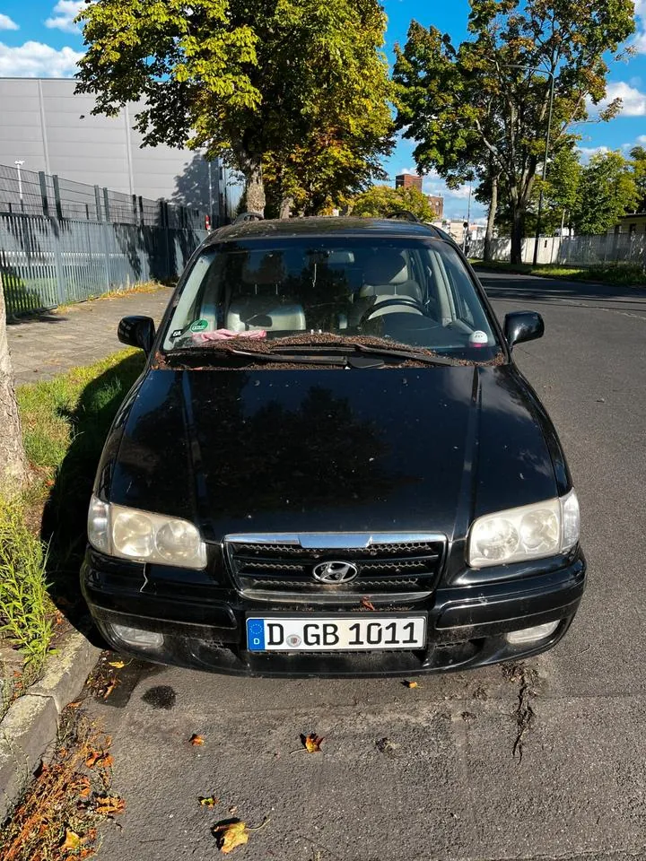 Hyundai Trajet