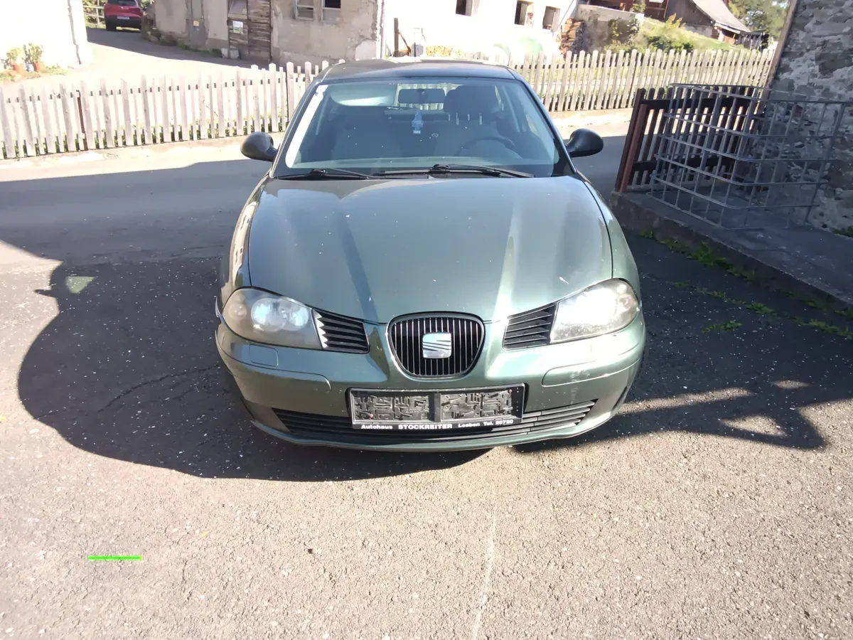 Seat Ibiza 2004 photo 2