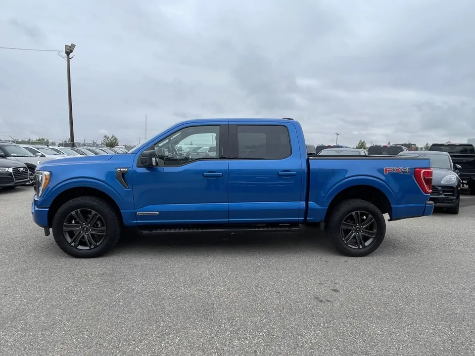 Ford F-150 2021 photo 4