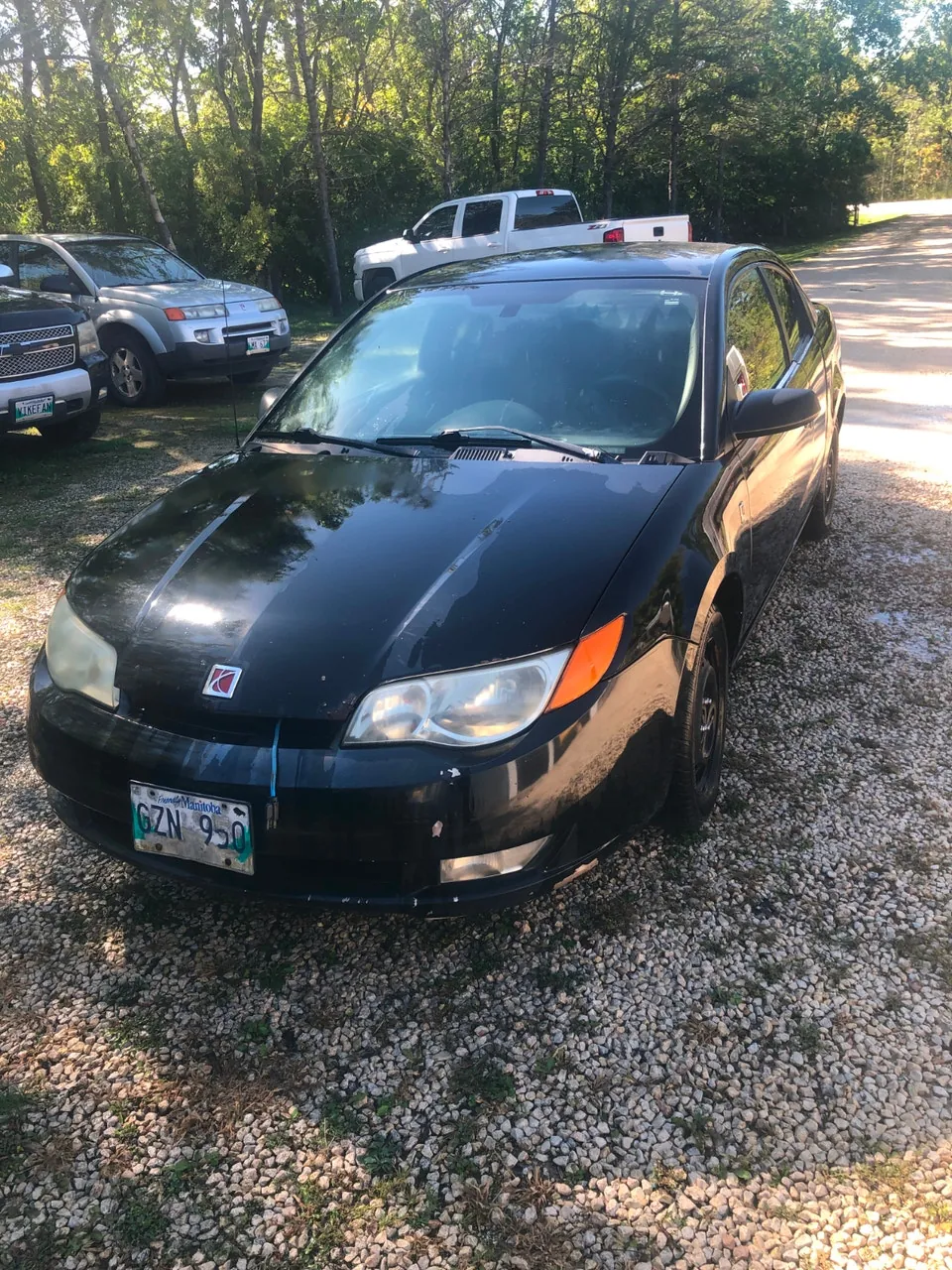 Saturn Ion